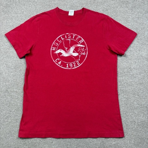 Hollister Other - Vintage Hollister T Shirt Men's Size L Red Short Sleeve Crew Neck Y2K Tee